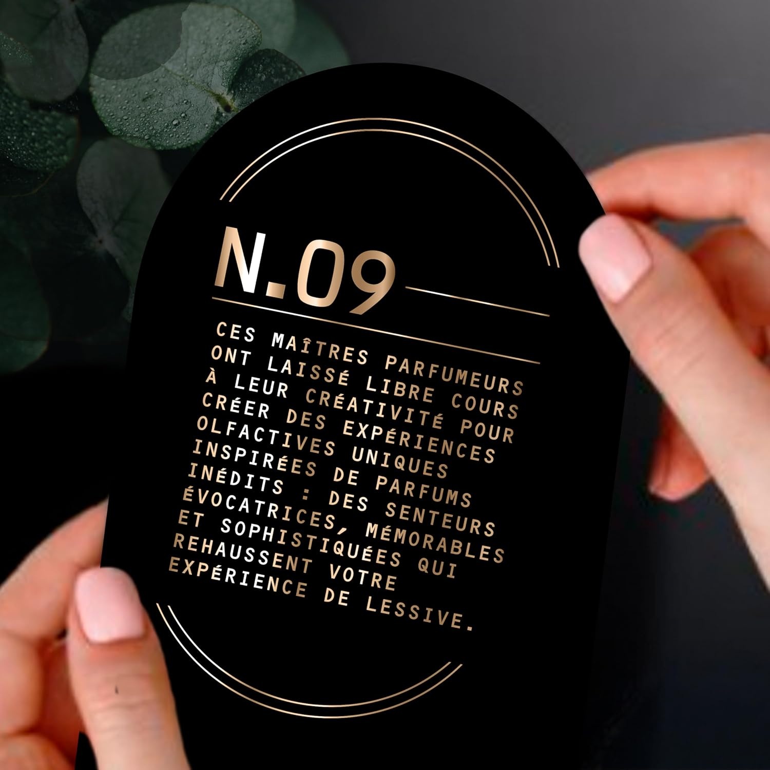 image:imageDowny Unstopables Unlimited Collection InWash Laundry Scent Booster Beads No 09 Fine Fragrance LongLasting Fresh Scent Beads 211 ozEucalyptus